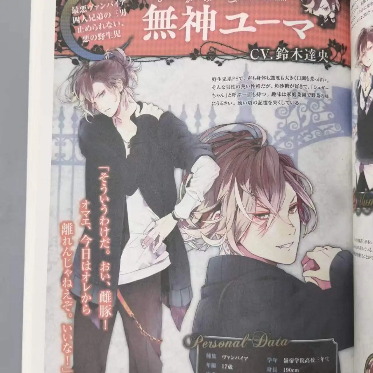DIABOLIK LOVERS VANDEAD CARNIVAL Fan Book - Japanese Otome Game Album illustration Art Book Libros Livros - view 3
