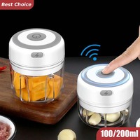 Electric Mini Garlic Mincer 100/250ML USB Vegetable Onion Chopper Portable Small Food Processor for Ginger Chili Vegetables