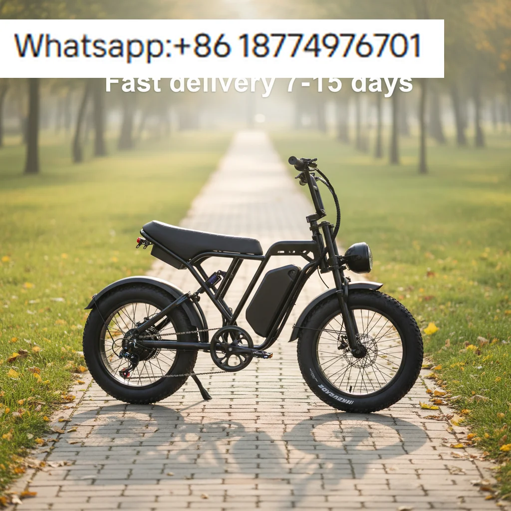 

Wholesale Brushless Motor Electric Mountain Bike 7speed Transmission and 15AH Battery Fat Tire E Bike for Outdoor Commuting