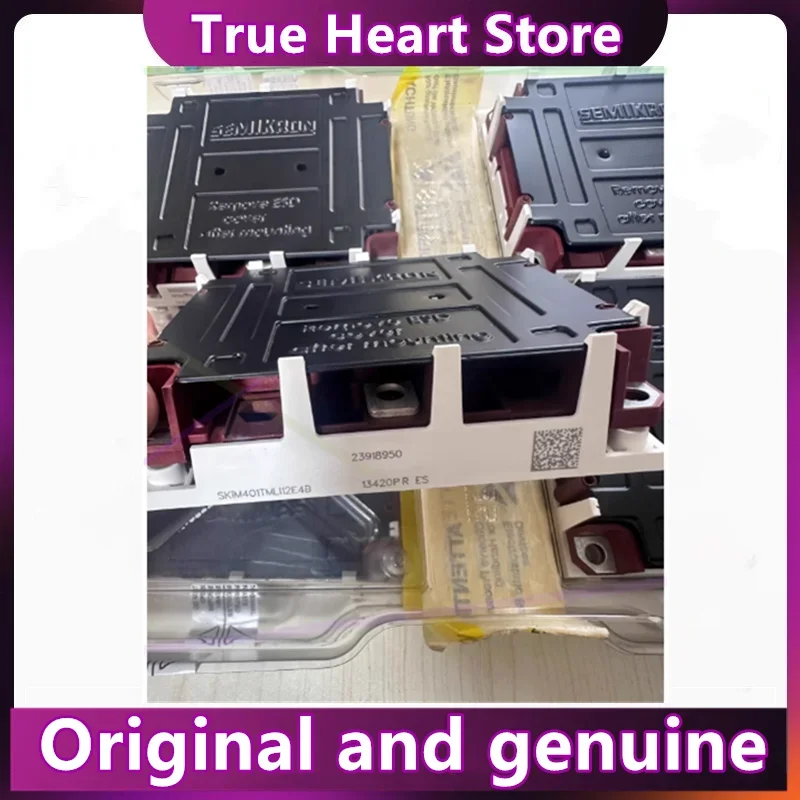 

SKIM401TMLI12E4B SKIM601TMLI12E4B