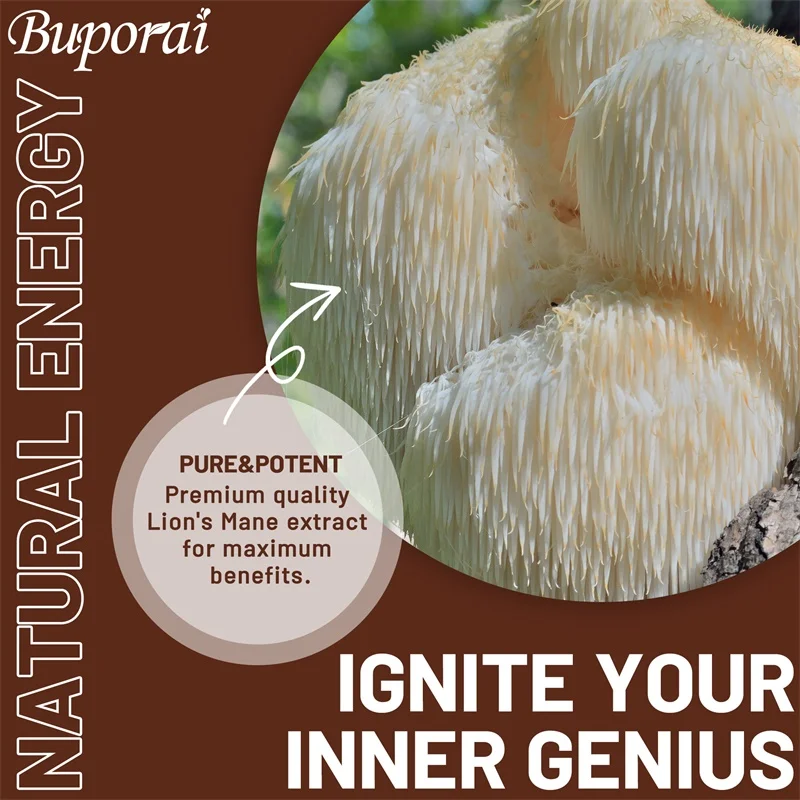 Lions Mane Mushroom Supplement 4000mg - Supports Cognitive Health, Boosts Brain Function, and Strengthens The Immune System - Image 3