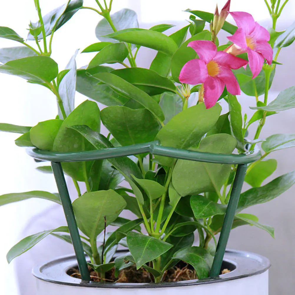 

8Pcs Garden Climbing Plants Support Rack Plastic Trellis for Vegetable Cage Flowers Plant Growing Stand Climbing Vine