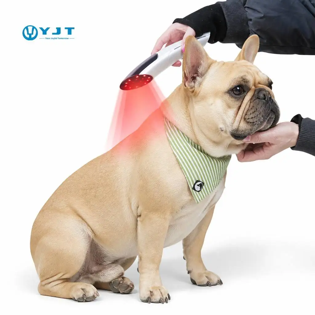 Infrared Light Therapy Pain Relief Veterinary 660nm 850nm Horse Knee Muscle Joint Hook Vet Laser Red Light Therapy Device