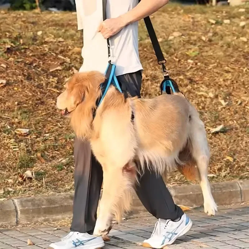 Portable Dog Auxiliary Belt Breathable Pet Lift Harness Sling Support Repair Function For Disabled Dogs Help Rehabilitation view 4