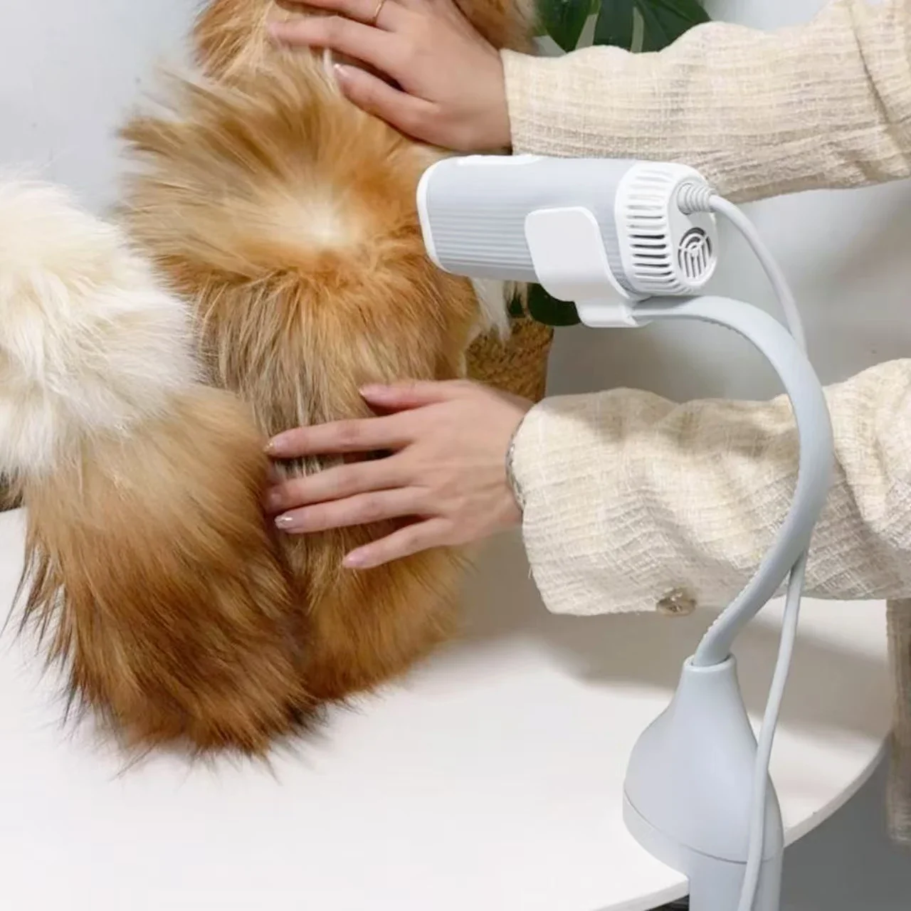 

Pet Hair Dryer High Power Silent Hair Blowing Artifact Large and Small Dog Water Blower Special for Dogs