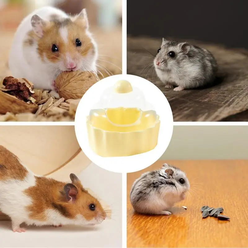 Hamster Sand Box Cake Shaped Small Animal Sand-Bath Box Clear Stable Hamster Sand Bath Container For Squirrel Lemming Gerbils