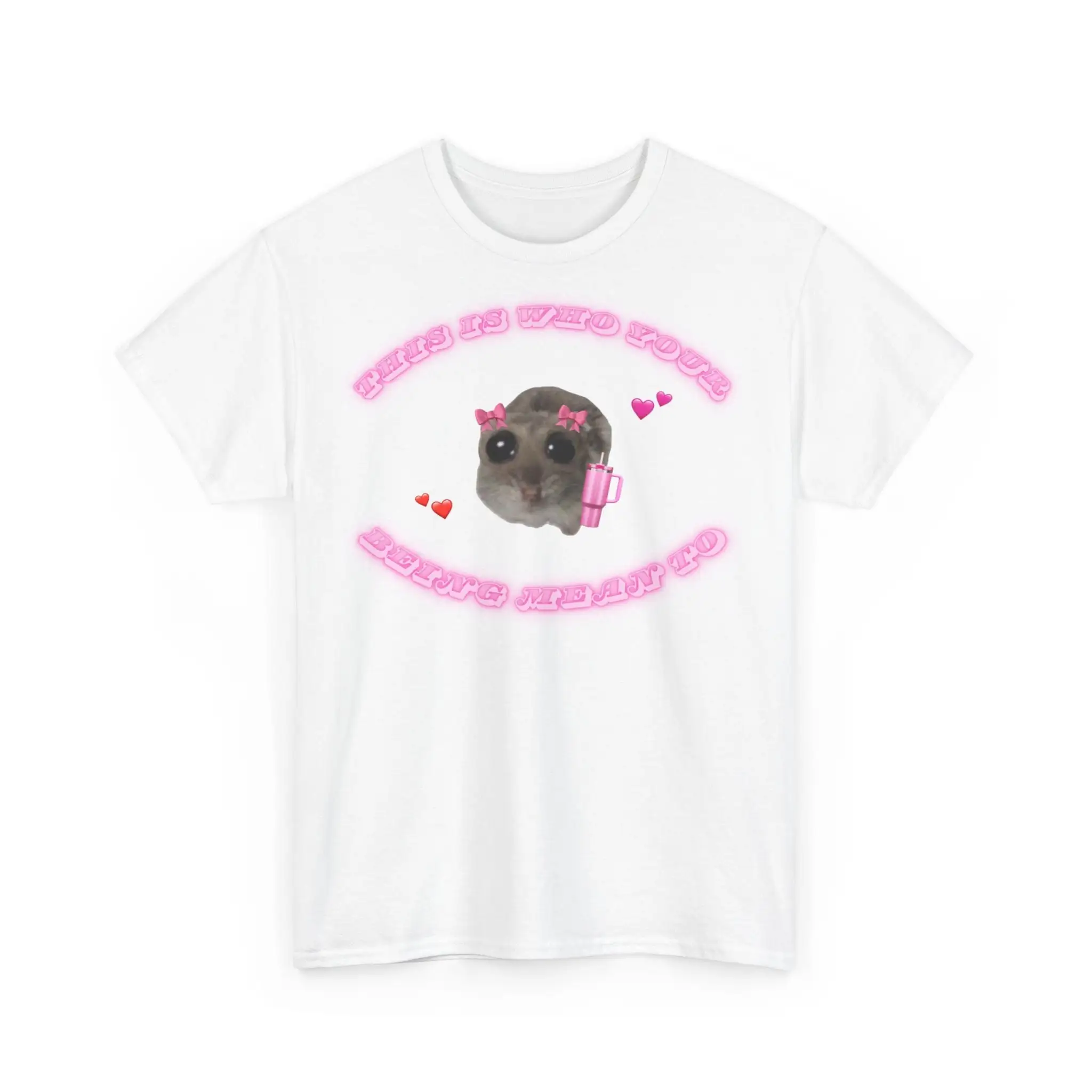 This is who your being mean to funny T shirt sad hamster meme just a girl gift