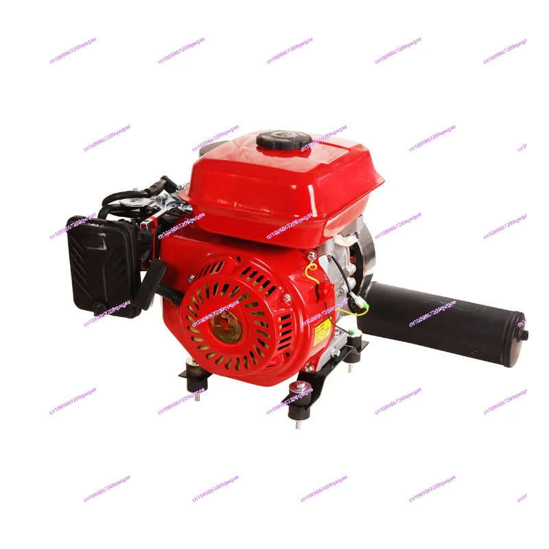 3000W Double Voltage Generator Gasoline Charging Generator Range Extender for Electro-Tricycle Car