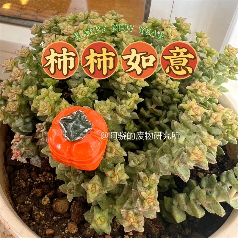 Persimmon, keycaps, fruit, cross axis mechanical keyboard customization