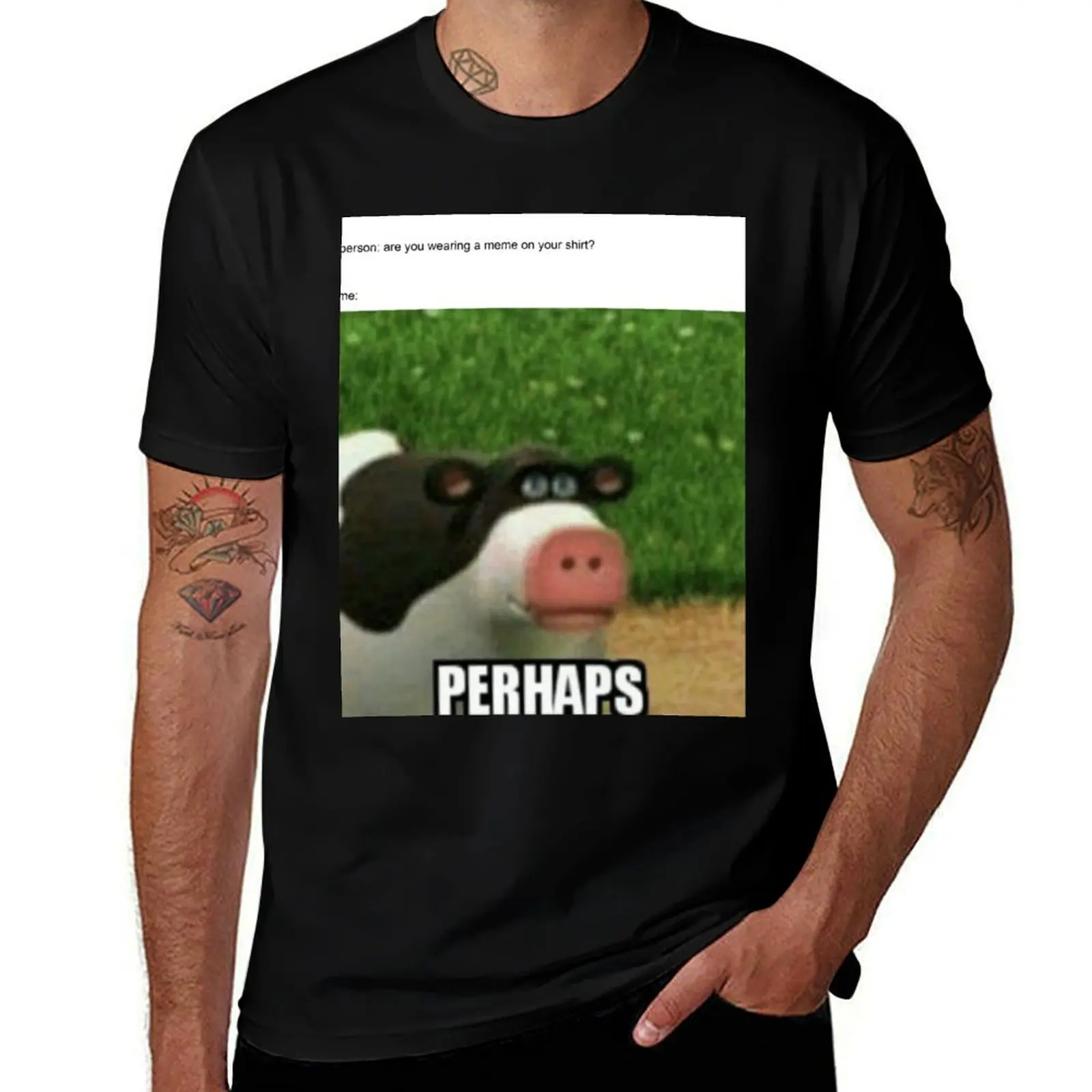

Perhaps meme T-Shirt Breathable Travel T-Shirt