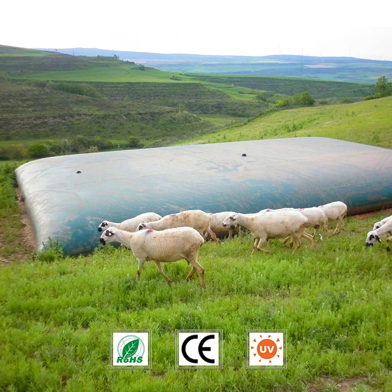High Quality Sintex Plastic Water Tank 1000Liter for Sale