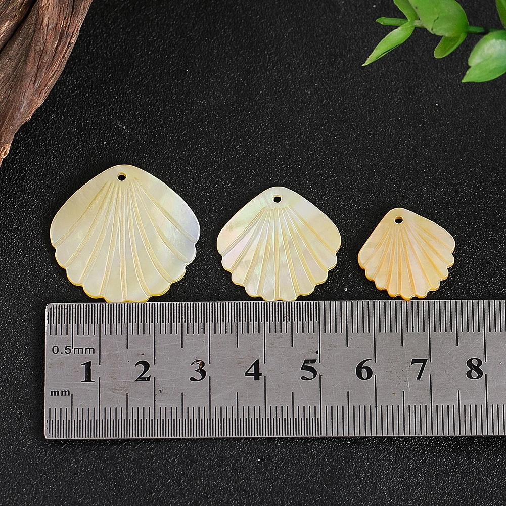 6PCS Scallop Shape Shell Pendant Natural Yellow Mother of Pearl Sea Shells Charms Bead for DIY Jewelry Making Necklace Earrings view 5