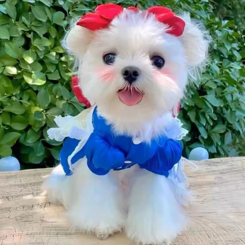 Dog Pet Clothing Princess Dress for Dogs Clothes Cat Small Cosplay Snow White Cinderella Cute Thin Summer Yorkshire Accessories