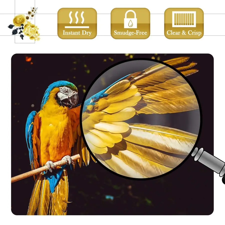 Premium Photo Paper Luster 13x19 Inch 66lb for Inkjet Printers 50 Sheets, Single Sided