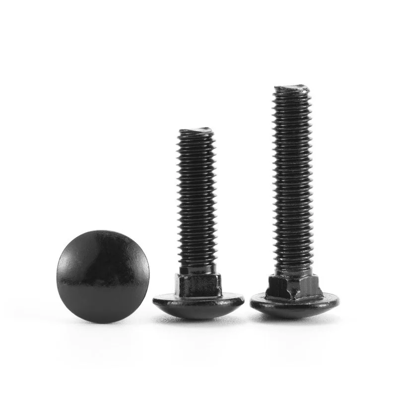 أسود 304 الفولاذ المقاوم للصدأ النقل البراغي كبيرة مستديرة رئيس ساحة الرقبة البراغي لرفوف M3 M4 M5 M6 M8 M10 M12 مدرب الترباس