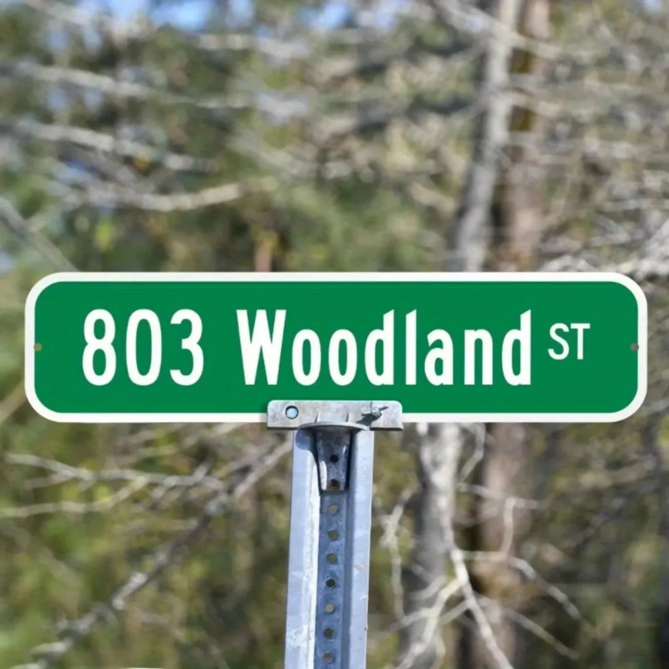 Personalized Green Street Sign (Customizable) - Custom Exclusive Metal Sign with Custom Text, Ideal for Outdoor Decor.