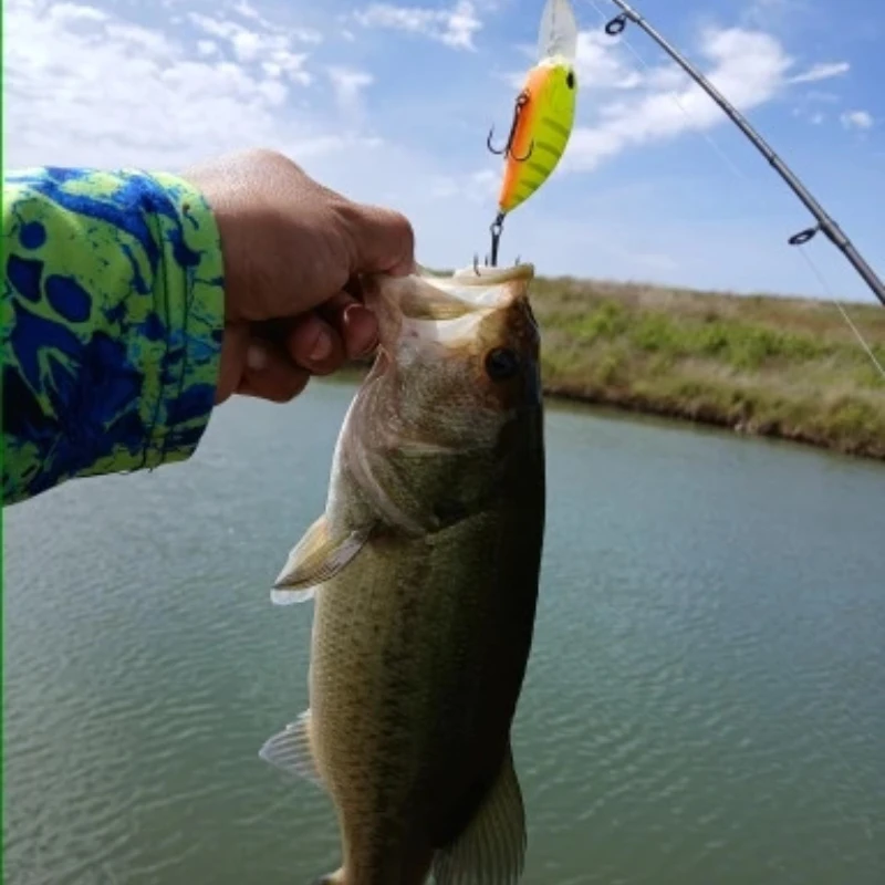 1 قطعة العائمة كرانكبيت إغراء الثنائي حشرجة Wobblers 65 مللي متر 15 جرام الطعم الاصطناعي ل سمك السلمون المرقط جثم الكارب واقعية كرنك M65 11A Pesca معالجة #6