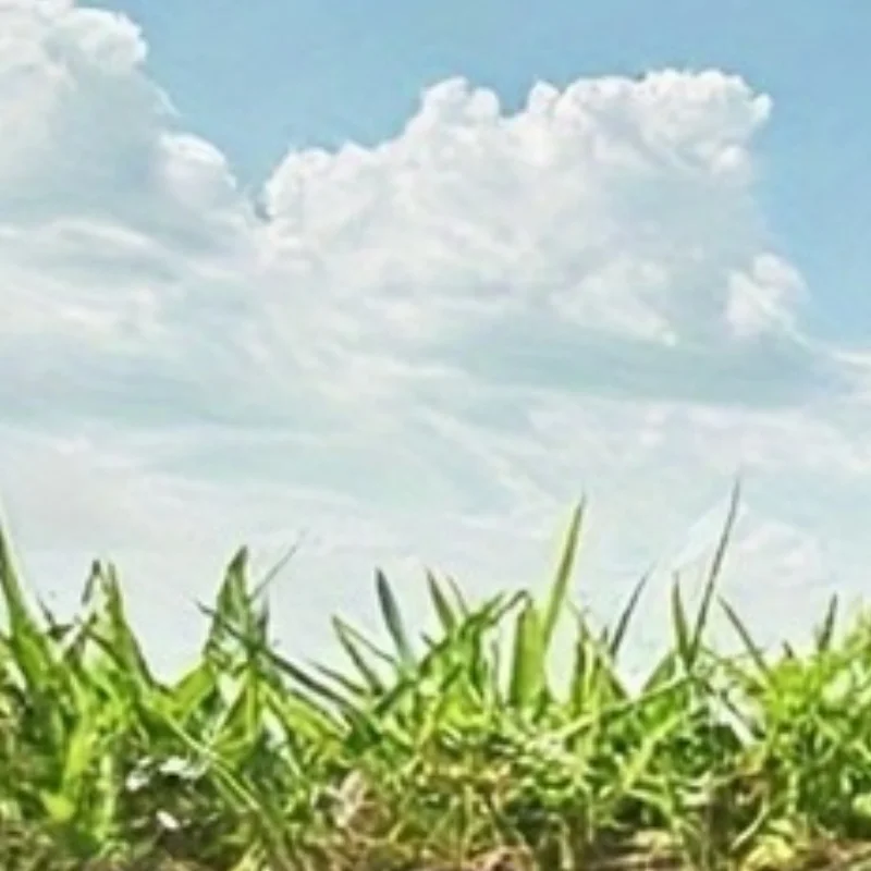 

Сейф для ключей в виде лейки, реалистичный подземный сейф для ключей, не требует батареек, прочный пластик для безопасности на открытом воздухе в саду