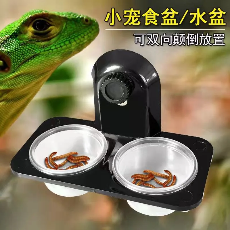 Reptiles & Amphibians Lizard Gecko Suction Cup Feed Bowls Food Container with Bowl for Reptile Food and Water Feeding