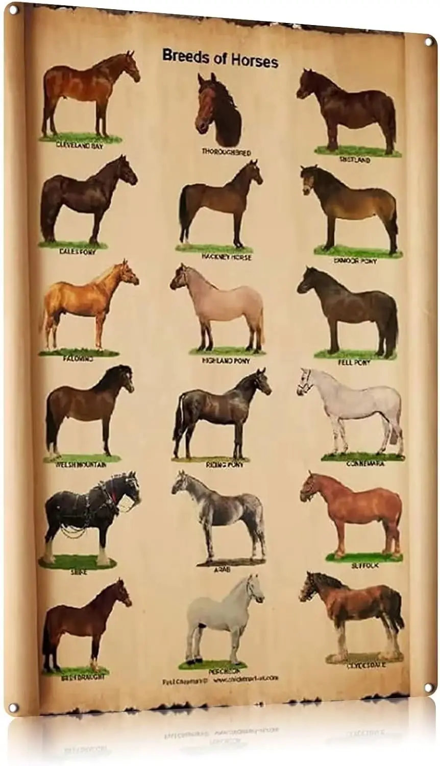FEBIOAW Metall-Blechschild, Retro-Wanddekoration, Pferderassen, Vintage-Metall-Blechschild für Männer und Frauen, Wanddekoration für Bars, Restaurants