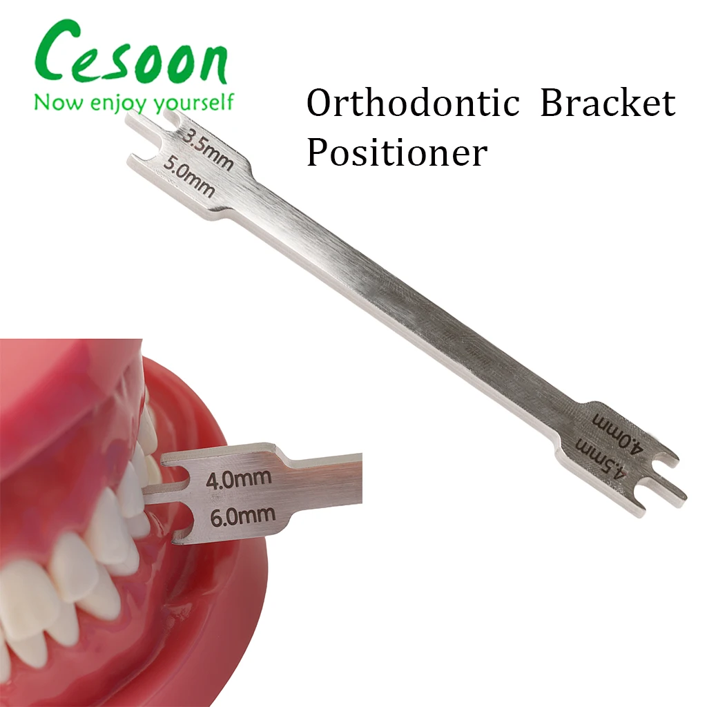 Soporte de ortodoncia Dental, medidor posicionador, localizador de soporte de varilla de acero inoxidable, herramienta de odontología, tamaño del