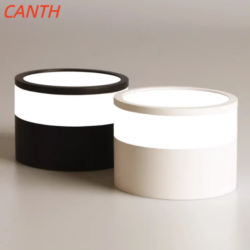 Exposed ceiling downlights for entrance, minimalist ceiling lights for hallway and foyer, ceiling lights for corridor