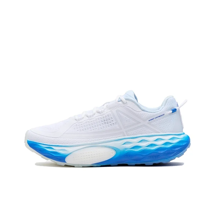 Anta x WASSUP ChengFeng Low top Casual Running Shoes Men's White Blue 112526623A-1