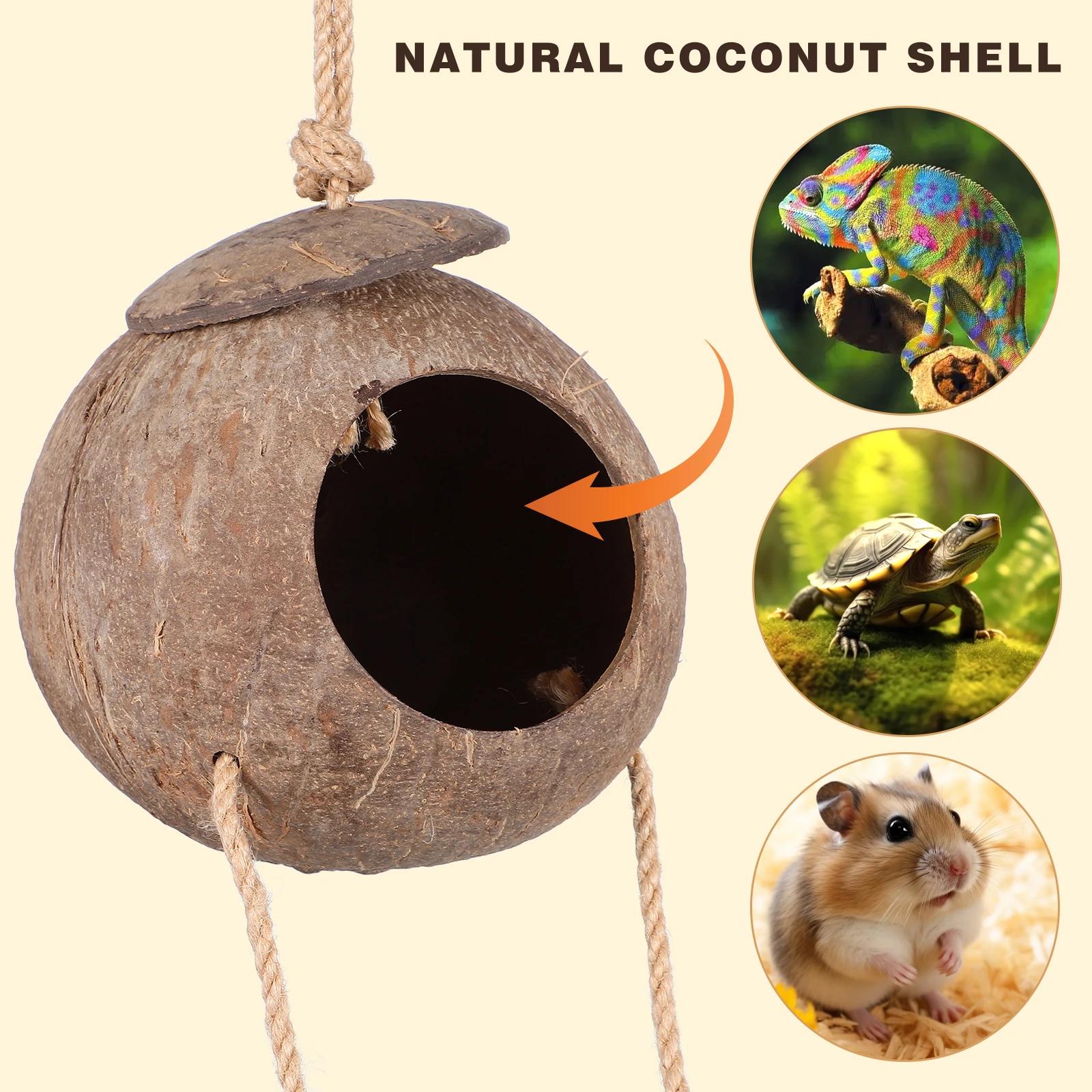 Decorative Reptile Hideout Coconuts Shell Shelter Small Lightweight Natural Design Turtle Lizard Gecko Terrarium Ornament