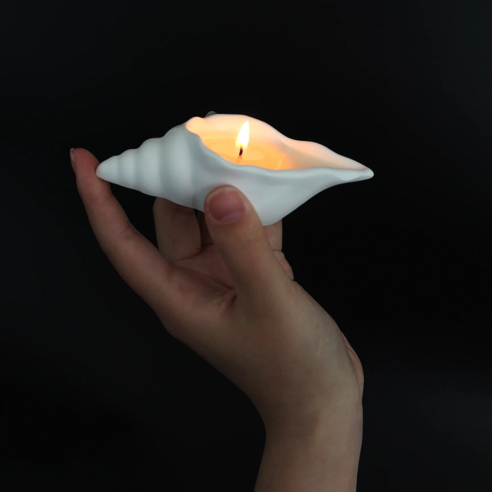 Shell Conch Candle Mold 5