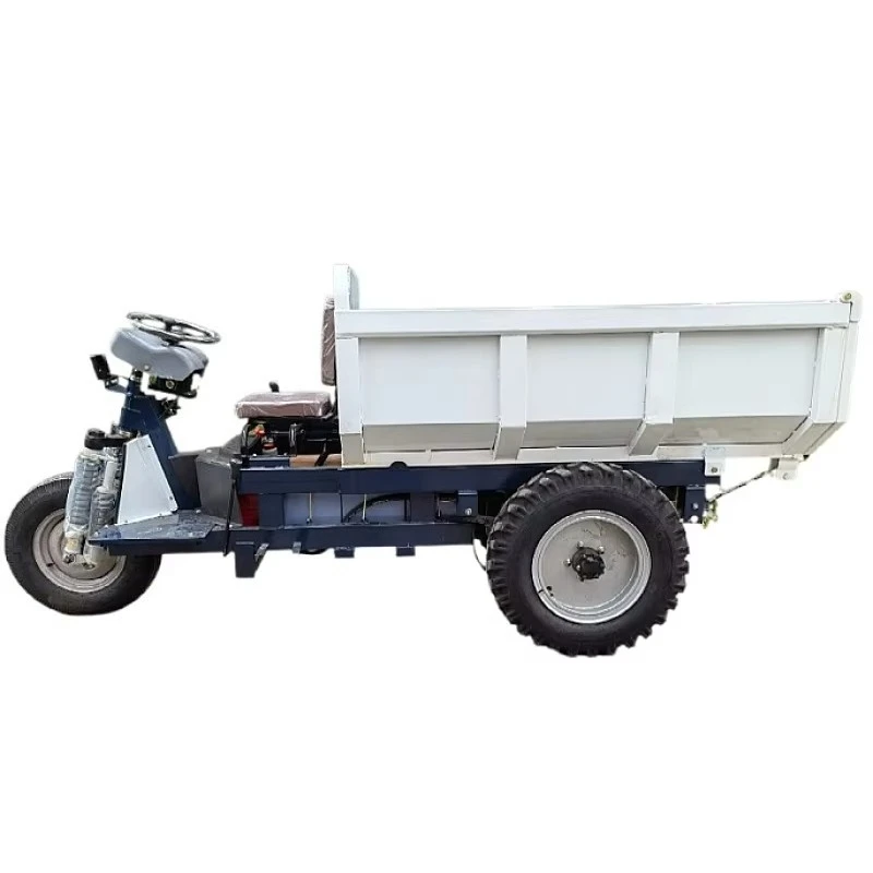 Small Dumper Truck Three-wheel Electric Motorcycle Electric Trike Cargo Three Wheel Motorcycle