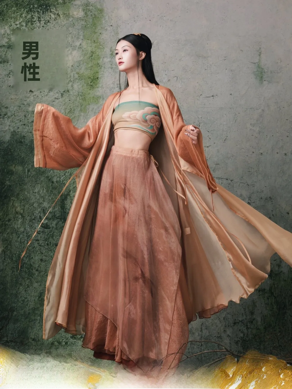 

Костюм для джазовых танцев WYZ Cover【Cysanthemum Cloud Skirt】: Эфирное платье для сценических выступлений, юбка в стиле феи