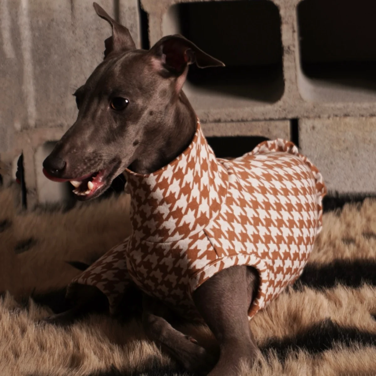 Summer Spring Socialite Suit for Italian Greyhound Casual Afternoon Tea Blue Cashew Flower Lace Tencel Denim Jumpsuit for Dogs