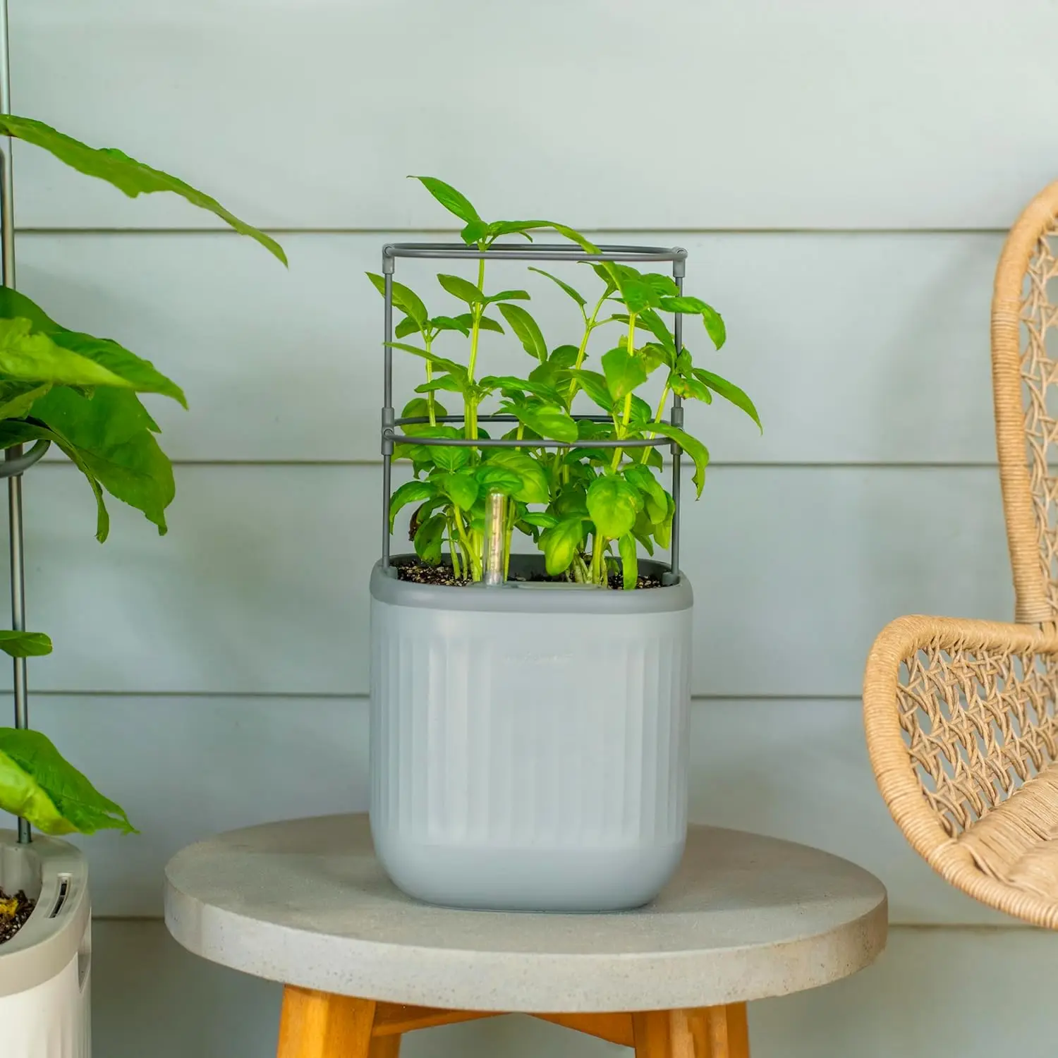 

Mini Planter Indoor Pots with Trellis Self-Watering Herb Countertop Planter for Climbing Vegetables Flowers Mint Plants Cage- Fo