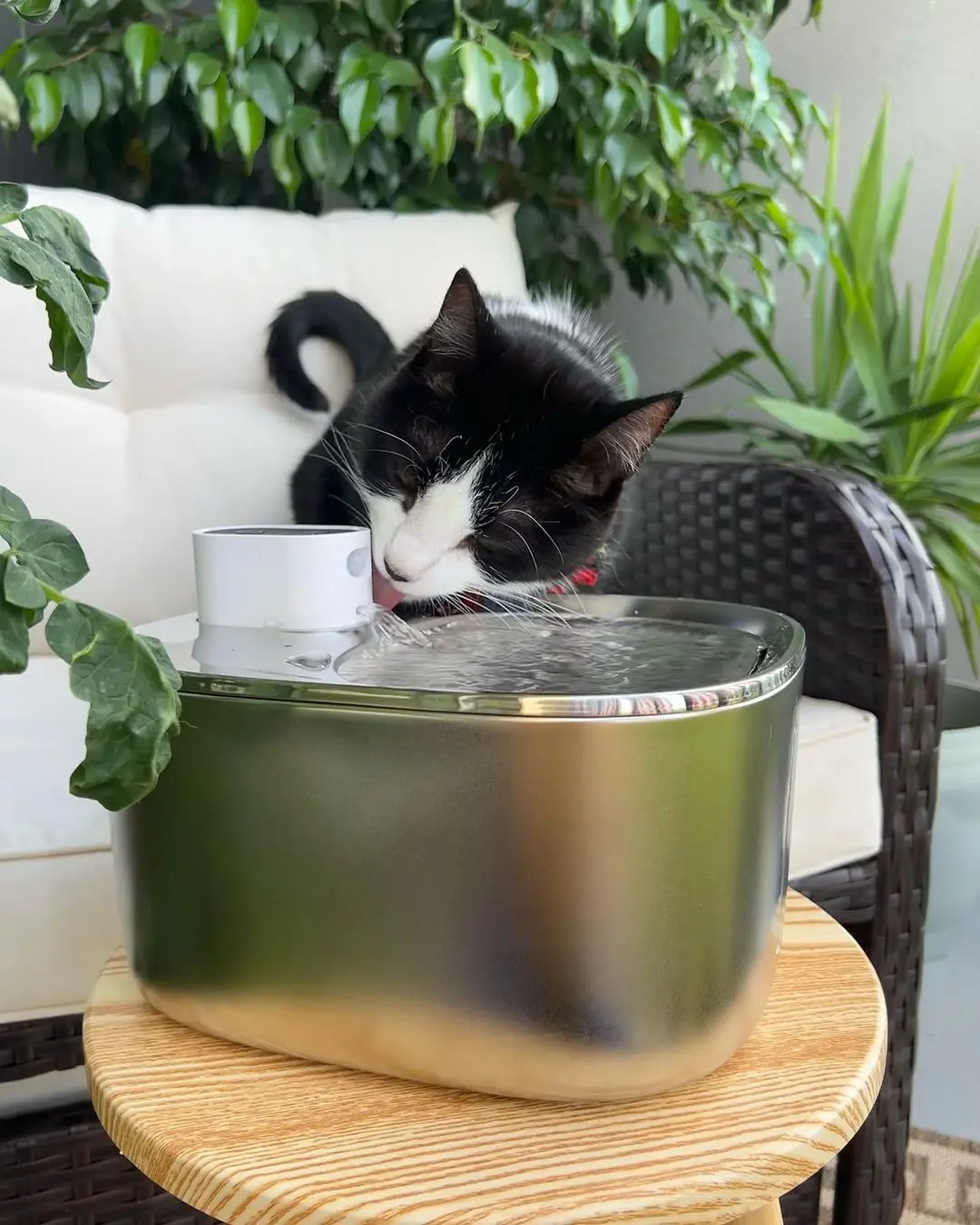 APETDOLA 4L Wireless Cat Water Fountain Auto Sensor Drinking Fountain For Cats Dog Drinker Pet Water Dispenser Accessories