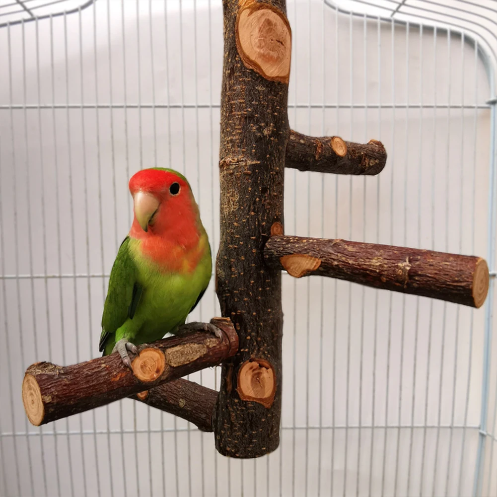 Pet Parrot Stand Solid Wood Standing Stick Pole Biting Molar Claw Grinding Toy Bird Cage Supplies Pets Product Bird Accessories