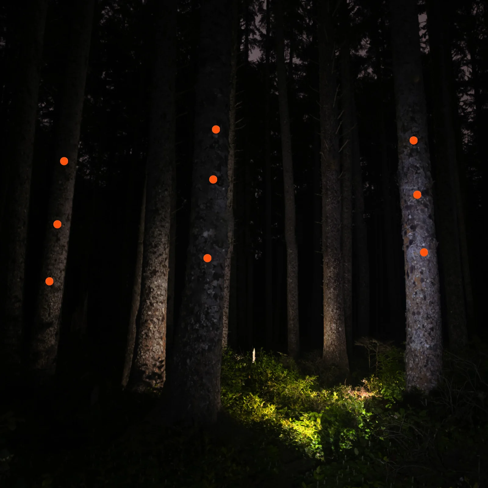 

50pcs Reflective Trail Marking Tacks Thumb Tacks High Visibility Push Pins For Hiking Camping Outdoor Night