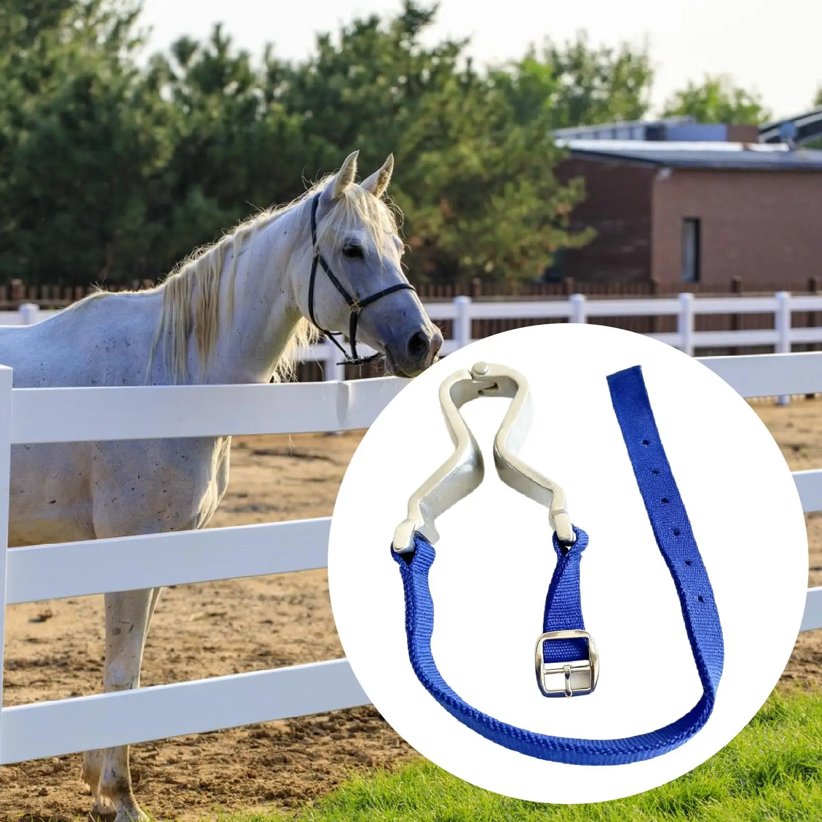 clip-para-bozal-de-caballo-de-aleacion-de-aluminio-abrazadera-de-garganta-accesorios-de-establo-para-el-cuidado-y-equipo-de-equitacion