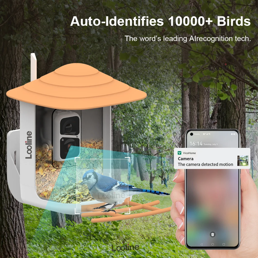 Smart Bird Feeder Camera with Solar Panel Wifi Wireless 1080P HD Bird Watching Camera Auto Capture Bird Videos Motion Detection