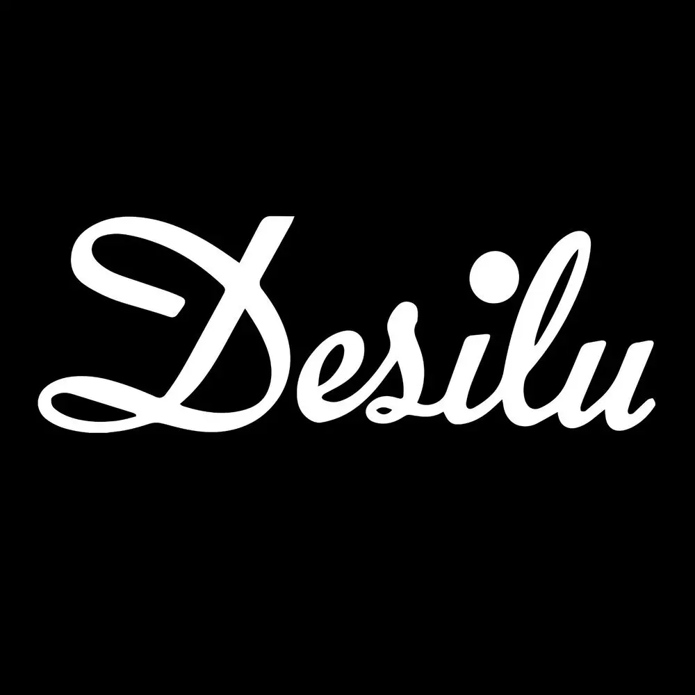 DESILU STUDIOS T-Shirt - Defunct Television Studio - 100% Preshrunk Cotton Shirt