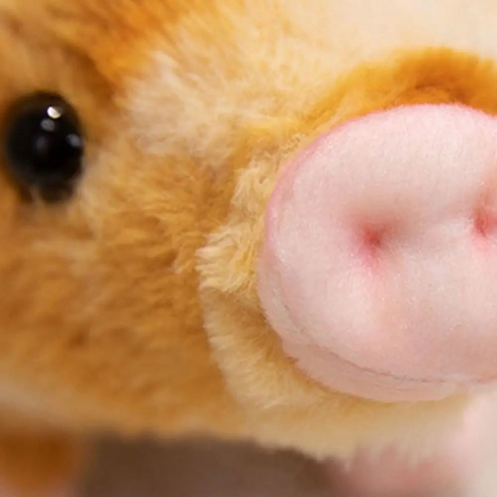 

Высококачественный мягкий поросенок, удобный на ощупь, пушистый поросенок, приятный для кожи, милые мягкие игрушки для дома