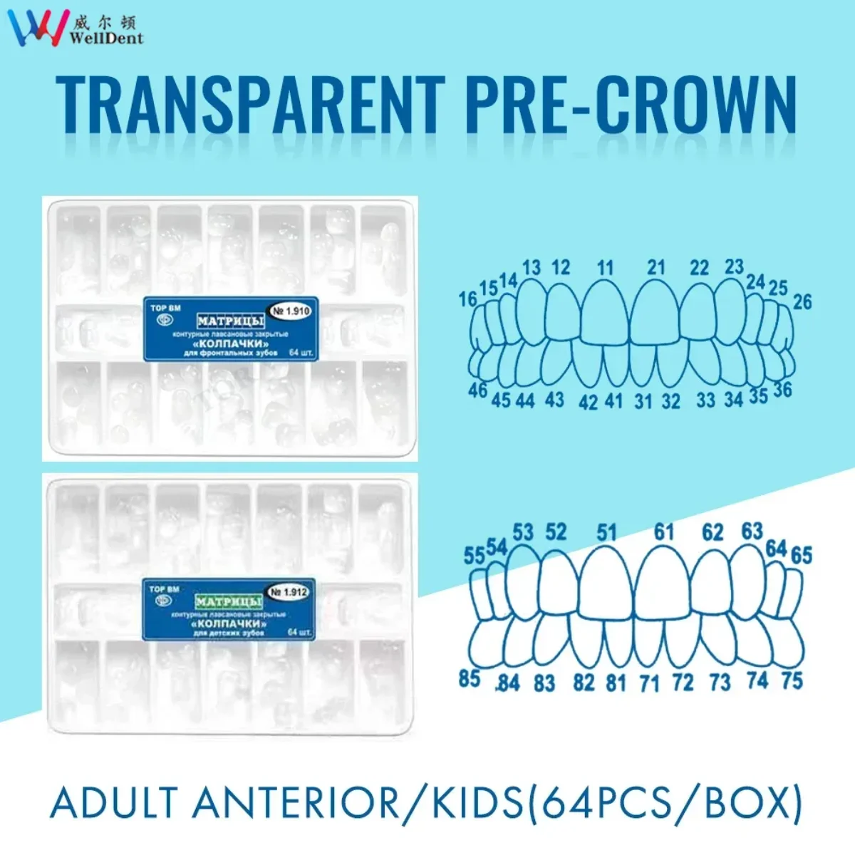 Dental Crowns Transparent Temporary Preformed Molar Lab Anterior Posterior Teeths Deciduous 64pcs/Box Child Adult Kids Matrix