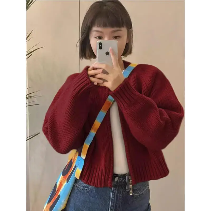 Zipper Cardigan Long Sleeved Knitted Top Loose Thickened Grey Cropped Sweater Coat Women's Clothing Autumn Winter Round Neck Top