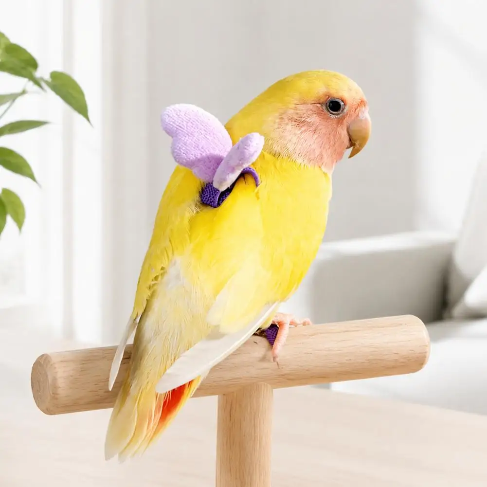 Non-slip Handle Bird Leash Adjustable Parrot Harness Leash Set Elastic Bird Training Rope with Cute Wings Small Conure Pet