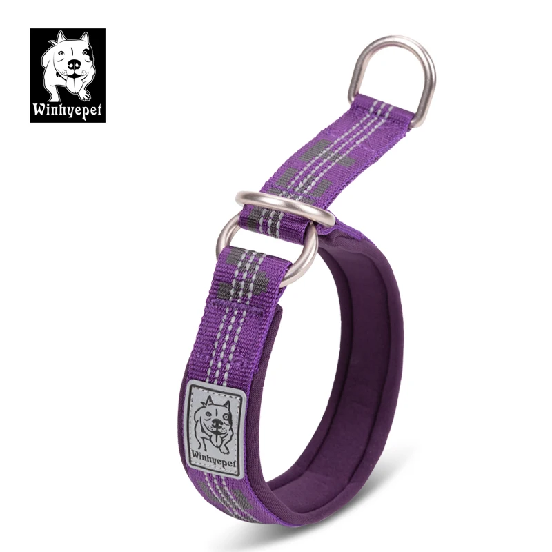 Truelove Pet Collar P Chain Reflective Nylon Neoprene Padded Half Choke Training Lightweight Washable Sports YC1852