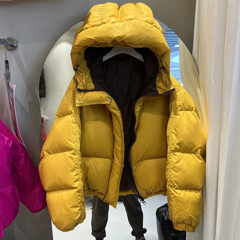 Cappotto invernale Capispalla femminile 2024 Autunno Inverno da donna Nuovo colletto in piedi addensato caldo corto con cappuccio giacca casual da