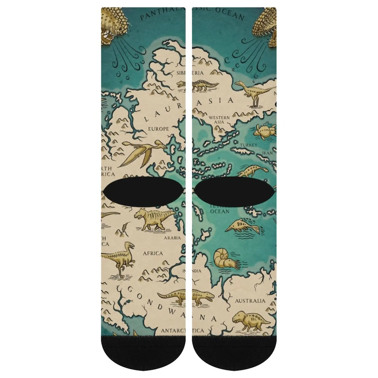 Vintage Map Socks Autumn Supercontinent Pangaea Stockings Fashion Couple Breathable Socks Design Sports Anti Bacterial Socks