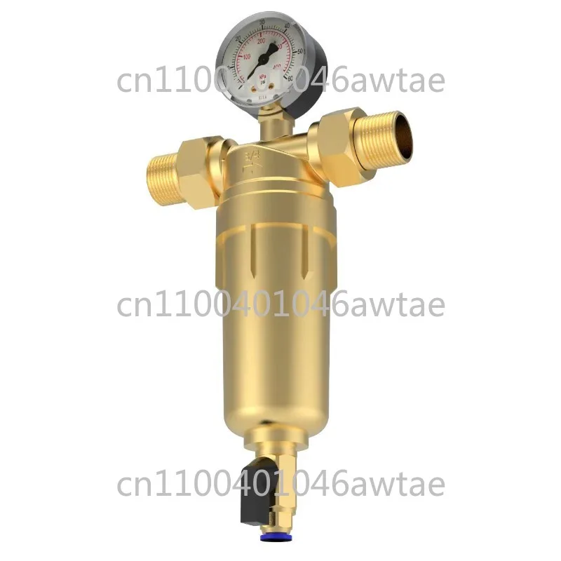

Special All-copper Pre-filter with Pressure Gauge Wall-hung Furnace Filter Water Purifier Filter Bottle