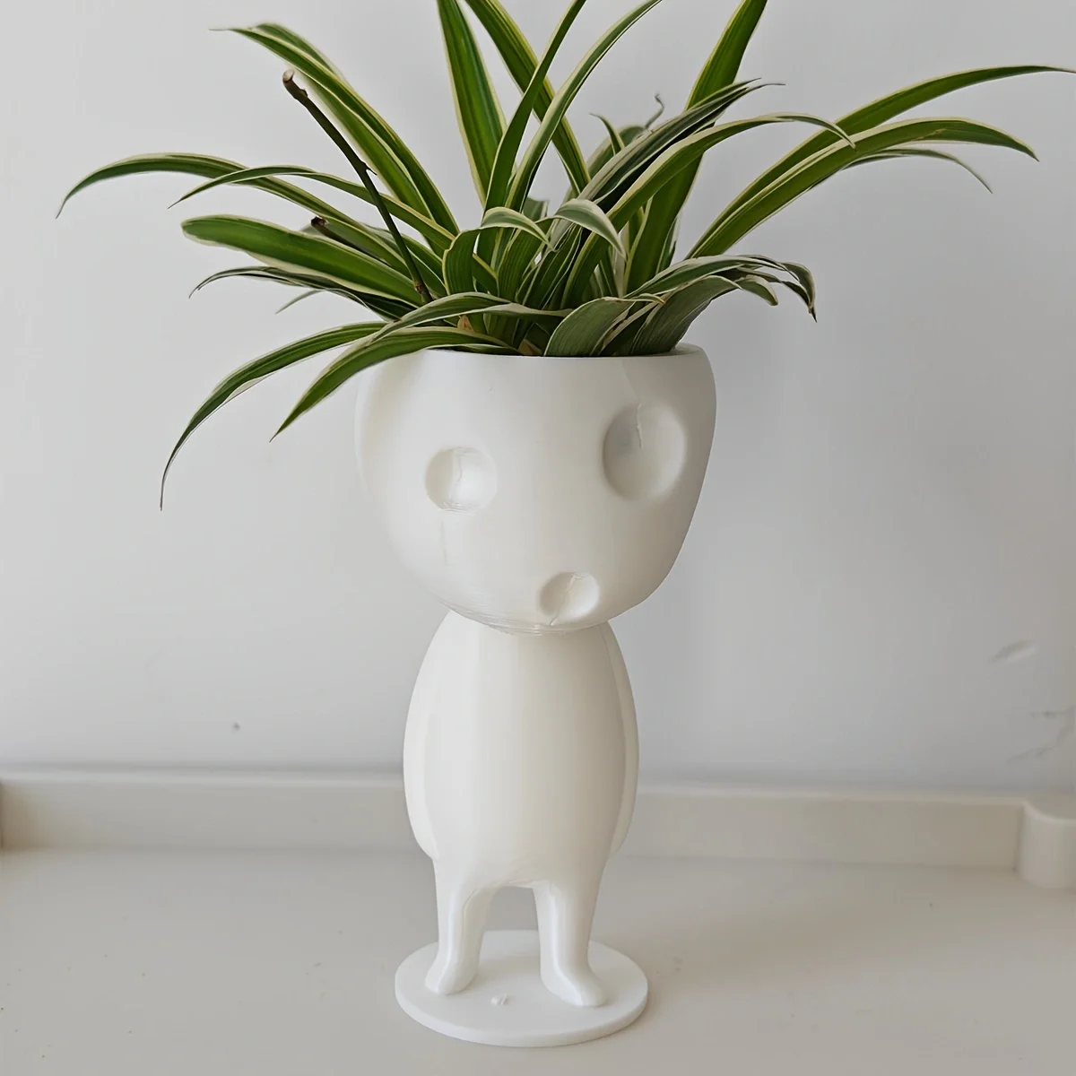 Ornements décoratifs d'impression de technologie 3D, pots de plantation succulents très créatifs et intéressants, plantation succulente créative