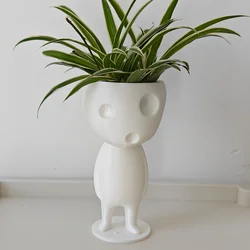 3D technology printing decorative ornaments, very creative and interesting succulent planting pots, creative succulent planting