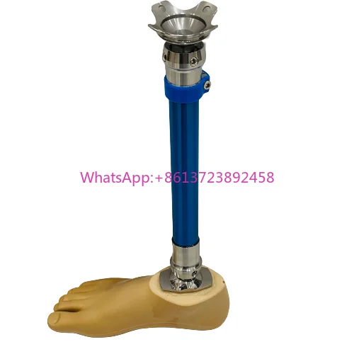 

Leg Prosthesis Orthopedic Artificial Limb Prosthetic Leg Parts Below Knee